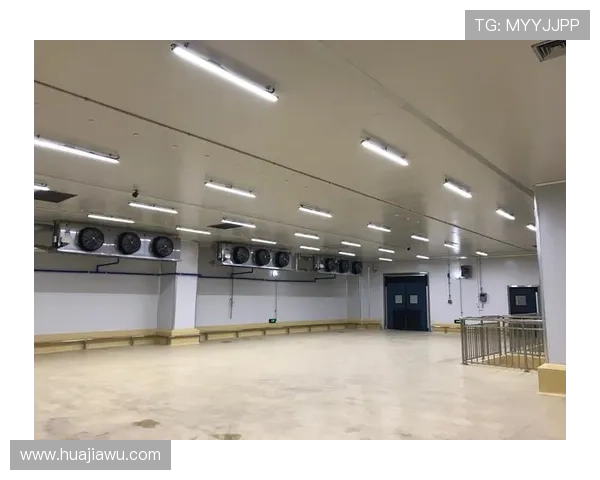 全国快三彩票平台的用户注册流程详解，新手快速入门指南