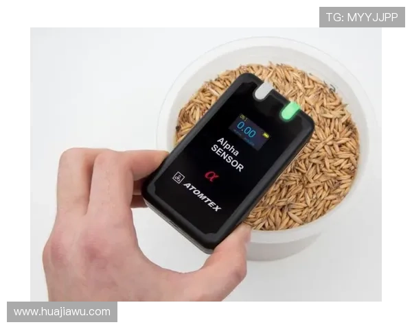 提升AG快速厅会员登录成功率的实用技巧分享