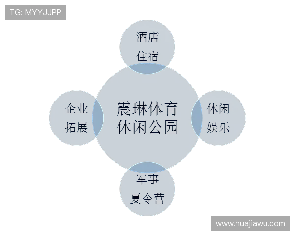 如何利用ob真人体育平台的移动端功能随时随地享受体育娱乐体验